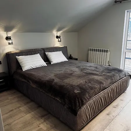 Grey House Villa Slavske